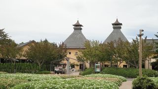 ファミリーにも最適なスポット