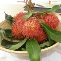 Ｗフルーツのランブータン。おいしくいただきました(^_^)v