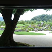 窓枠越しの庭園