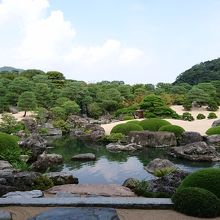 額縁にいれなくても綺麗