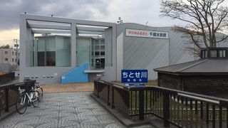 千歳川の真横に