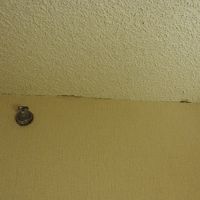 いたるところに・・・