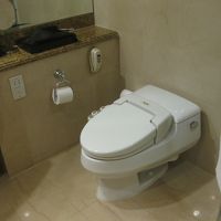トイレはウォシュレットですが、現在のものと違います。
