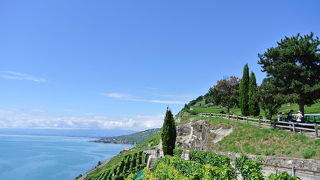 ラヴォーエクスプレスに乗って