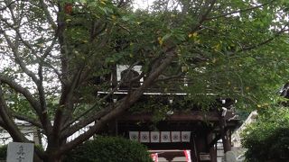 河野通道をしのんで。