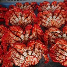 並んだ花咲ガニ