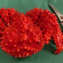 はさみで切り落とします