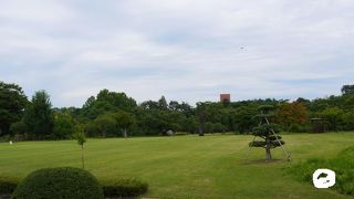 県内の植生、一通り揃ってます