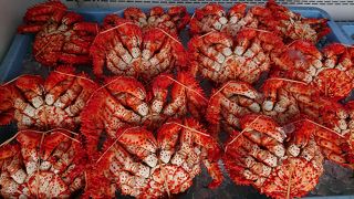 根室駅前で花咲ガニ