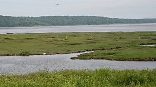 オンネトーとは別の沼