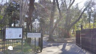 都会の中でまったりとできます