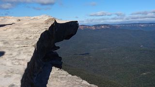 キングステーブルランドが最高です❗