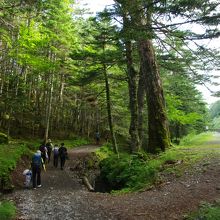 北沢峠バス停から歩いてテント場へ