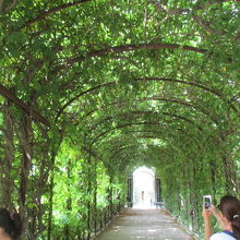 ”トンネル”をくぐって広大な庭園に出ます