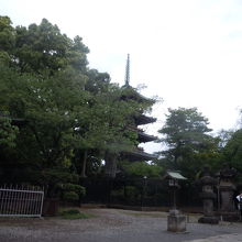 旧寛永寺五重塔