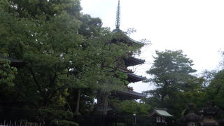 上野動物園の中