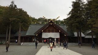 札幌きたらとりあえず