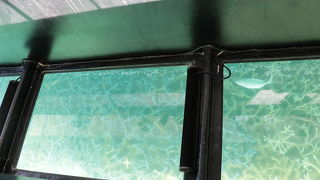 グラスボートを運航している