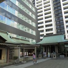 狛犬は狼とのこと