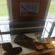 展示物にも是非ご注目を！