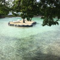 南国な感じです。