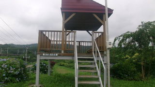 そのうちに見られなくなってしまうかもしれませんので今のうちに是非！