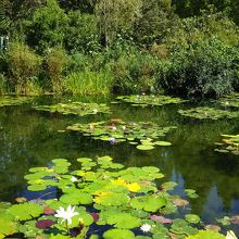 絵の中の世界です