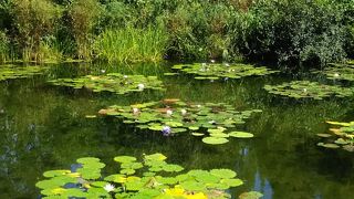 絵の中に入ったかのような庭園