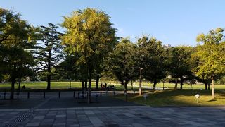 お城だけじゃなく美術館や図書館のある公園
