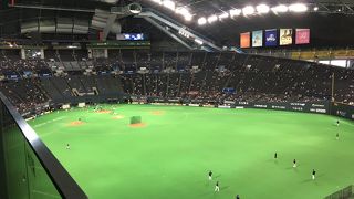 野球観戦にて利用