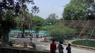 ミニ動物園も兼ねてる