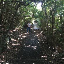 帰りは登り坂です。頑張って。