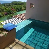 プールの上の屋根にハトの糞が・・・