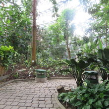 植物を見ながら散策出来ます