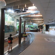 大温室の中です