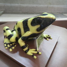 温室内にありました