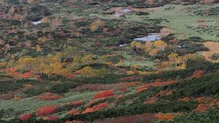 「日本一早い紅葉」2年連続訪問記