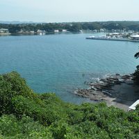 客室から小網代湾が一望できます