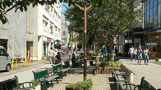 緑が多く、気持ちよい通り