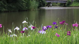 横浜市の外れにある大きな庭園