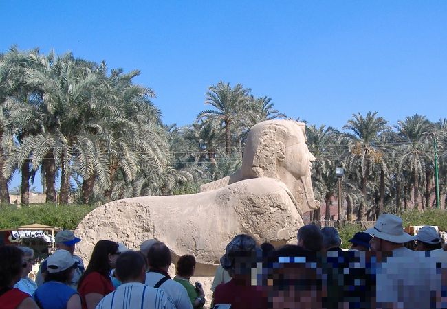 横たわるラムセス２世の巨像は、地震により足首から下の部分が破損したために、現在は横たえて保存しているそうです。