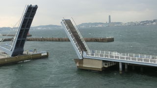 丁度開くところが見えました