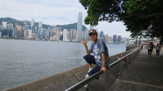 一番の見どころ