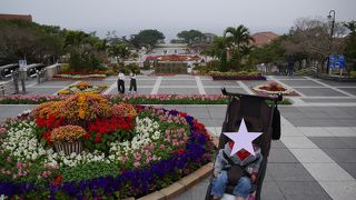 丸１日楽しめます！