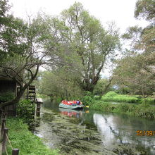 二つの流れの違う川の合流
