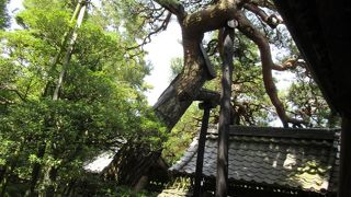 庭園が風情があり自然で素晴らしい