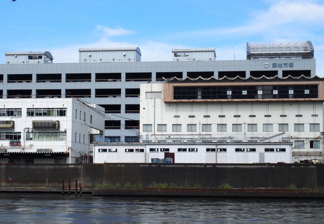 浅草～浜離宮へ･･･隅田川を船でゆったり下る