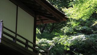 周囲の木々とマッチしている