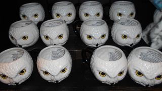 入り口近くの大型ショップ