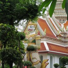 初めは木々の間から見えます